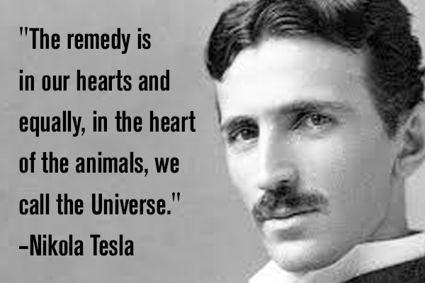 addiction recovery ebulletin tesla quote