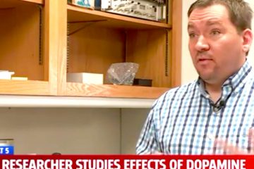 addiction recovery brain chemical research addiction