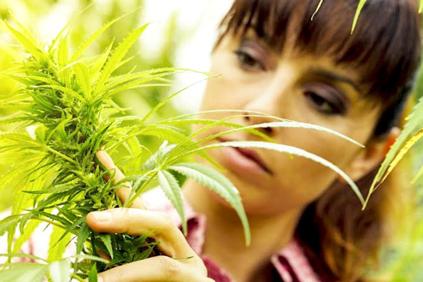addiction recovery ebulletin cannabis addiction women