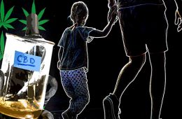 addiction recovery ebulletin kids and cannabinoid oil