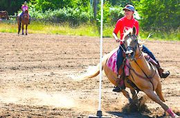addiction recovery ebulletin horse rider rediscovers passion