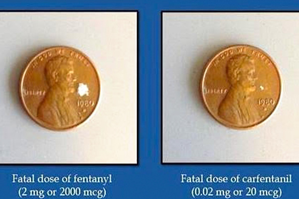 addiction recovery ebulletin cocaine with fentanyl