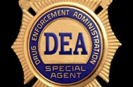addiction recovery ebulletin dea and opioids