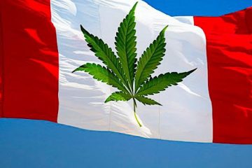 addiction recovery ebulletin legal pot canada