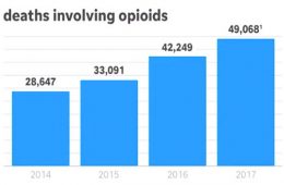 addiction recovery ebulletin fentanyl deadliest drug