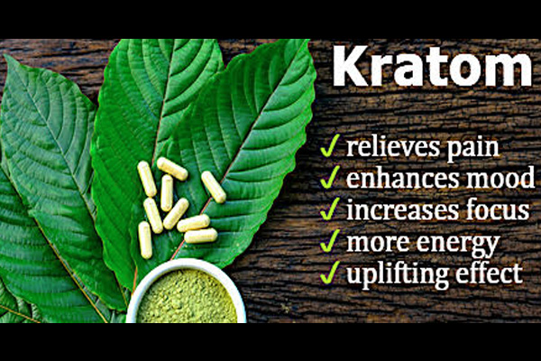 Kratom: Popular herbal drug tied to over 90 fatal overdoses - Addiction