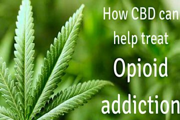 addiction recovery ebulletin CBD effective