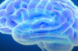 addiction recovery ebulletin brain implants 2