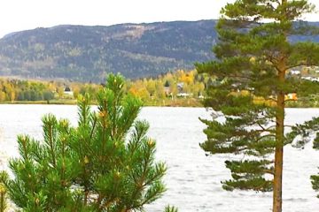 addiction recovery ebulletin free treatment norway