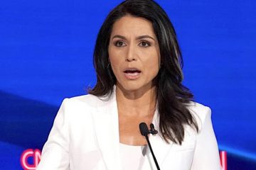 addiction recovery ebulletin Tulsi Gabbard endorses