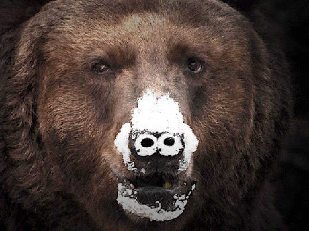 Cocaine Bear's Story Secretly Has A Much Deeper Meaning (Yes, Really!)